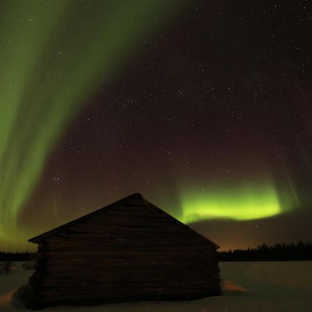 Lapland Northern Lights Hotel Ilveslinna Ranua Dış mekan fotoğraf