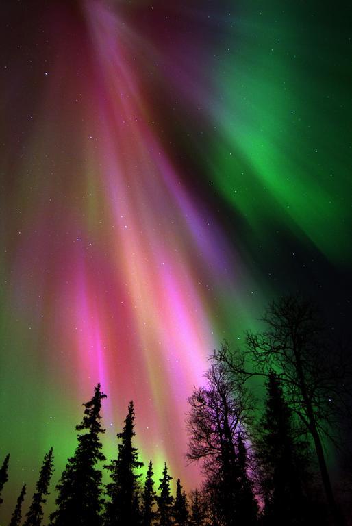 Lapland Northern Lights Hotel Ilveslinna Ranua Dış mekan fotoğraf