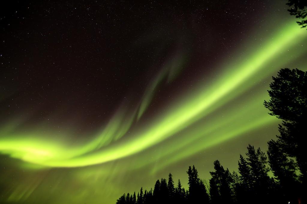 Lapland Northern Lights Hotel Ilveslinna Ranua Dış mekan fotoğraf