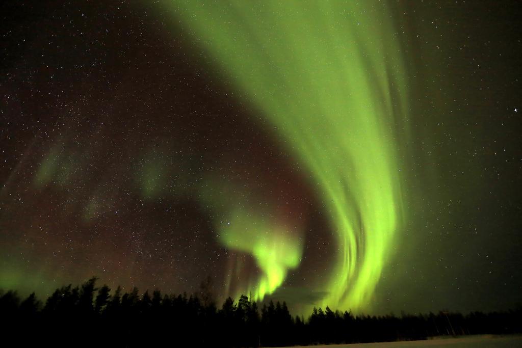 Lapland Northern Lights Hotel Ilveslinna Ranua Dış mekan fotoğraf