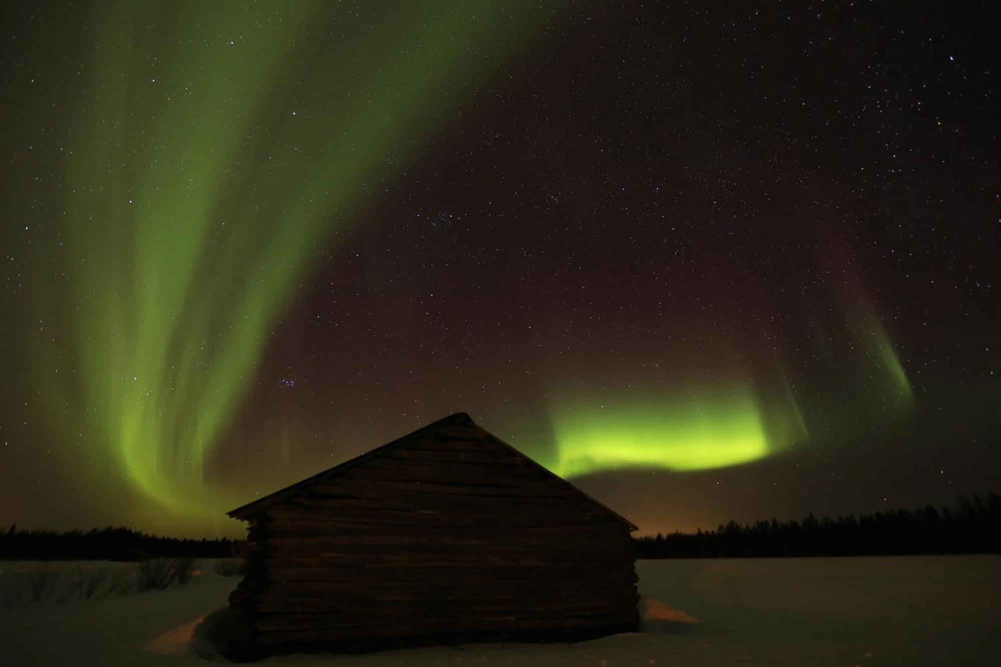 Lapland Northern Lights Hotel Ilveslinna Ranua Dış mekan fotoğraf