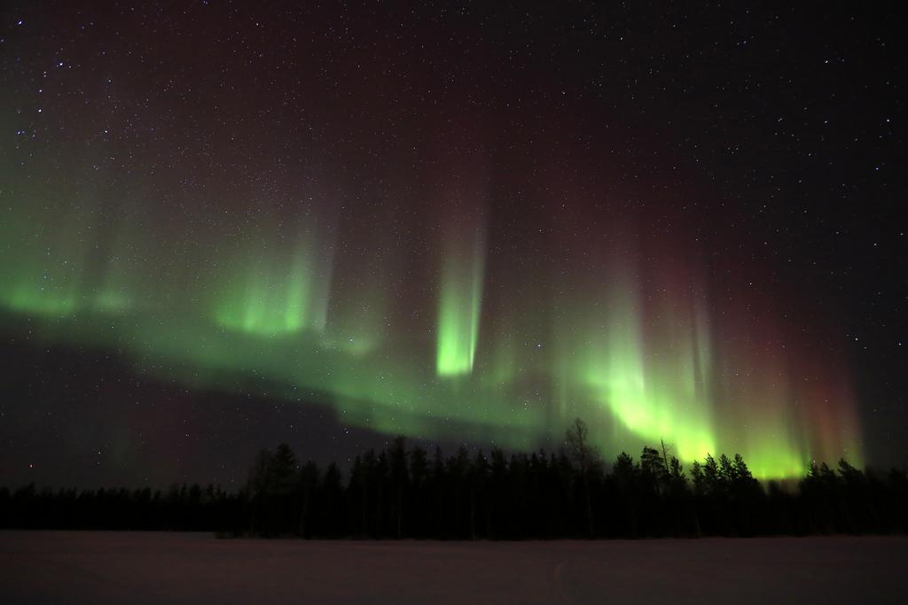 Lapland Northern Lights Hotel Ilveslinna Ranua Dış mekan fotoğraf