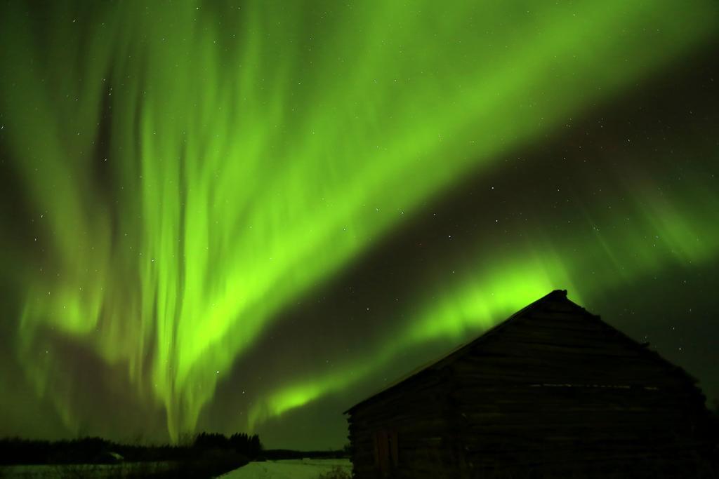 Lapland Northern Lights Hotel Ilveslinna Ranua Dış mekan fotoğraf