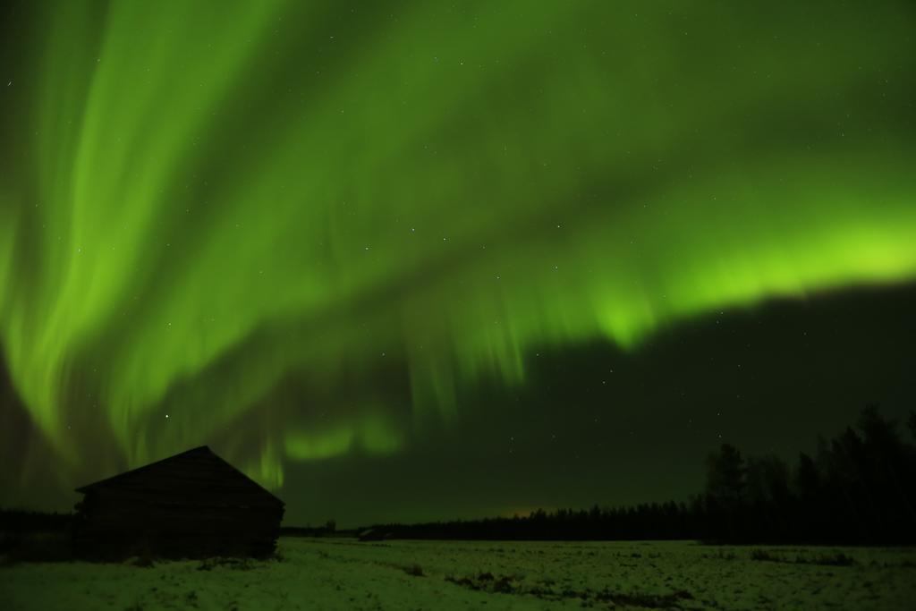 Lapland Northern Lights Hotel Ilveslinna Ranua Dış mekan fotoğraf
