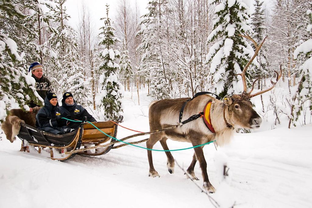 Lapland Northern Lights Hotel Ilveslinna Ranua Dış mekan fotoğraf