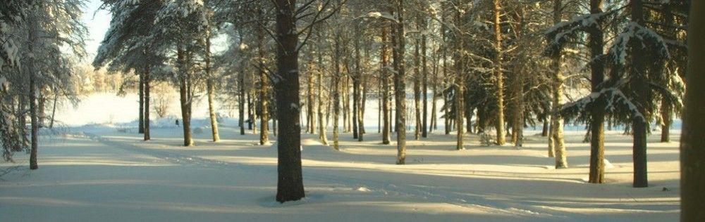 Lapland Northern Lights Hotel Ilveslinna Ranua Dış mekan fotoğraf