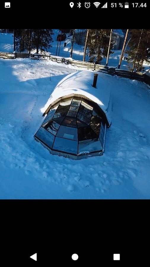 Lapland Northern Lights Hotel Ilveslinna Ranua Dış mekan fotoğraf