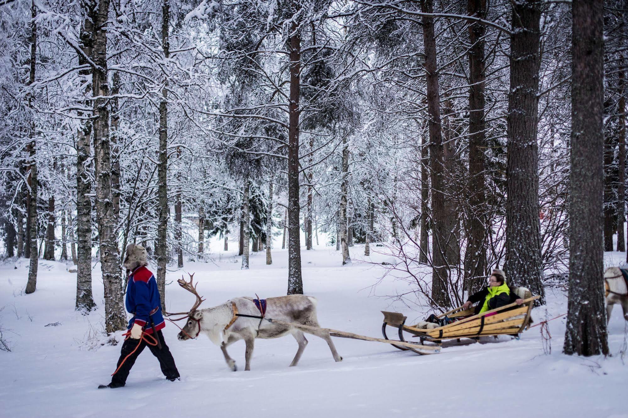 Lapland Northern Lights Hotel Ilveslinna Ranua Dış mekan fotoğraf