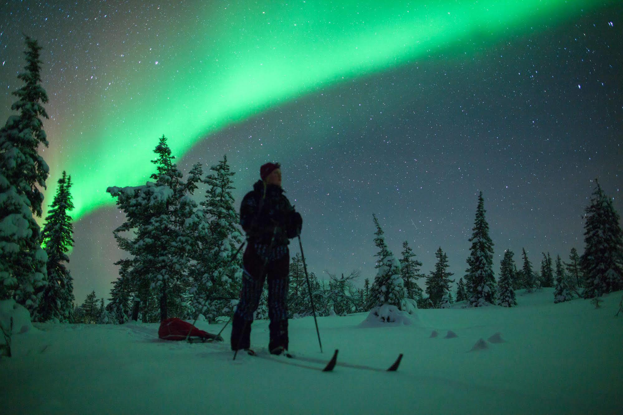 Lapland Northern Lights Hotel Ilveslinna Ranua Dış mekan fotoğraf